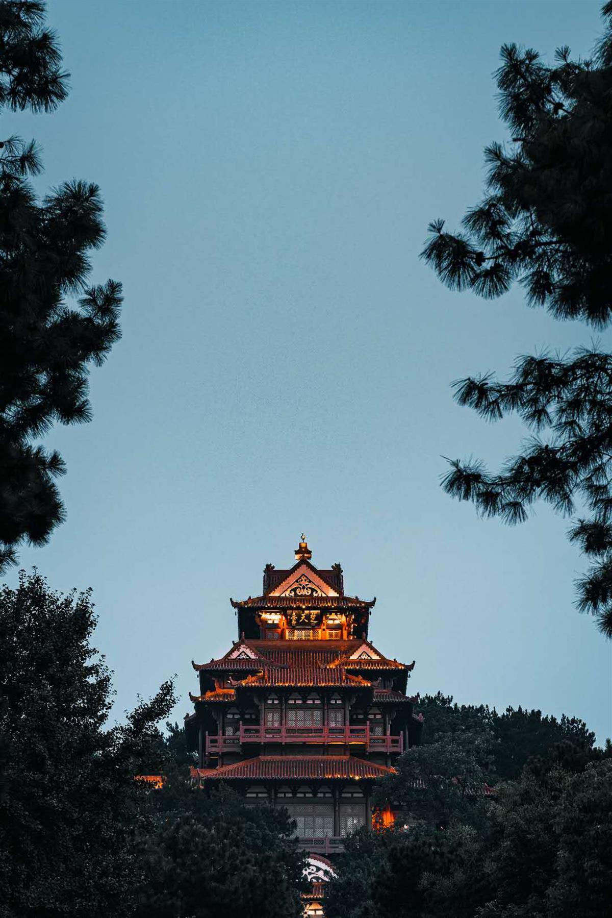天狮卓越卡会员中心